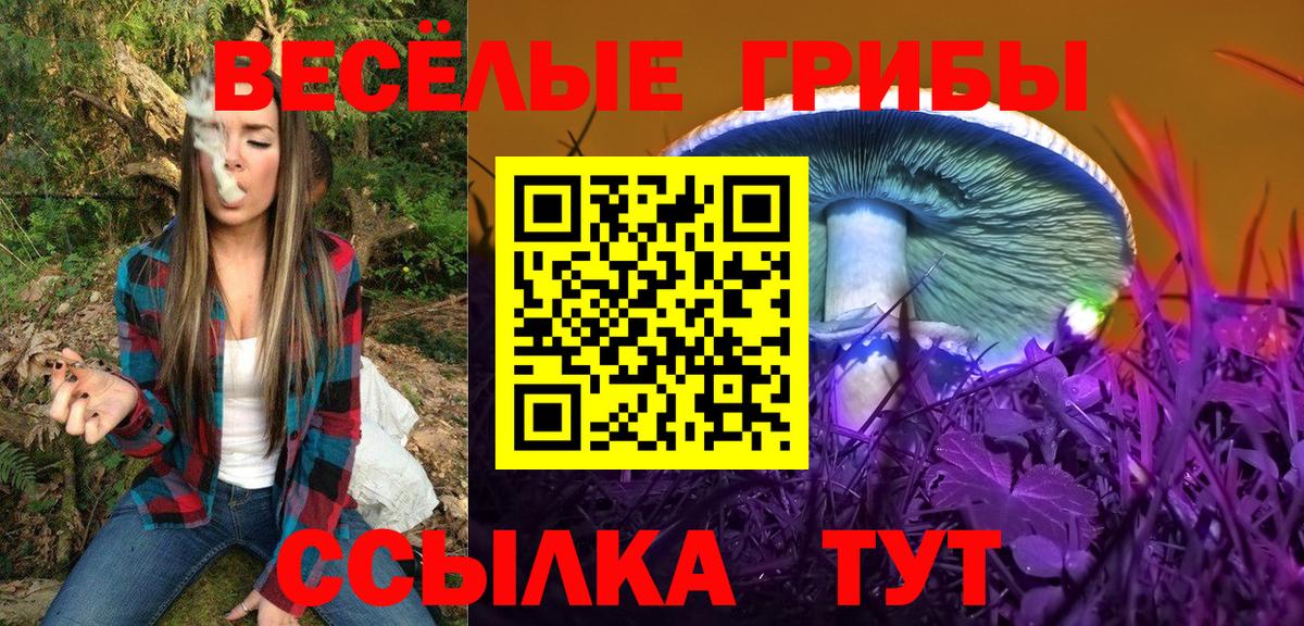 Галлюциногенные грибы Cubensis Екатеринбург